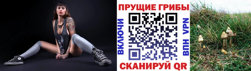 Псилоцибиновые грибы мухоморы  Сурск 